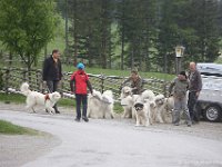 teichalm003