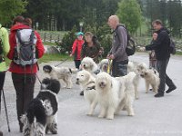 teichalm026