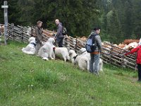 teichalm036