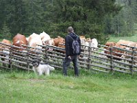 teichalm044