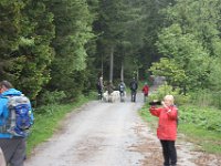 teichalm068