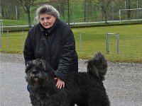 bouvier8