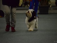 DSC 0364